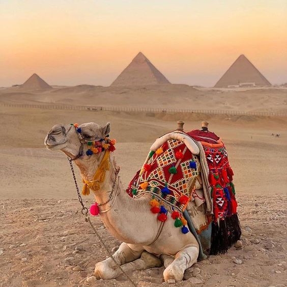 pyramids of giza pyramids of giza
