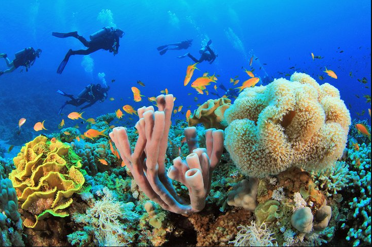 red sea red sea