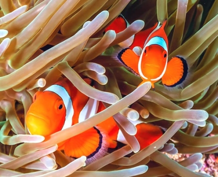 Hurghada Excursions