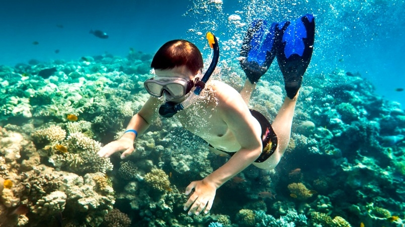 Snorkeling Ras Mohammed 