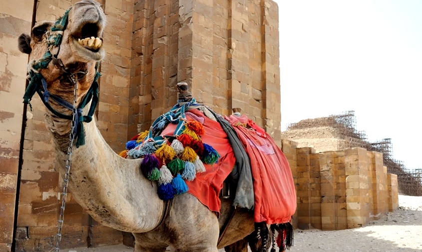 Sakkara 