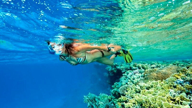 Port Ghalib Snorkeling