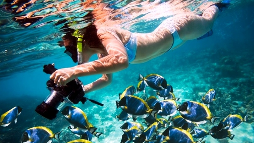 Mahmya Island Snorkeling