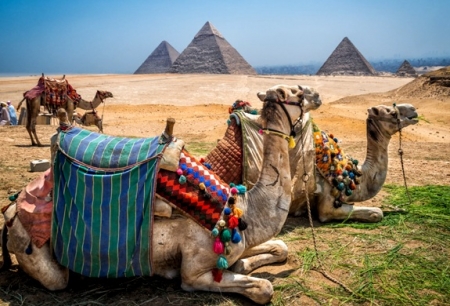 Egypt Budget Tours
