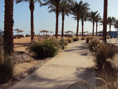 Taba Tours