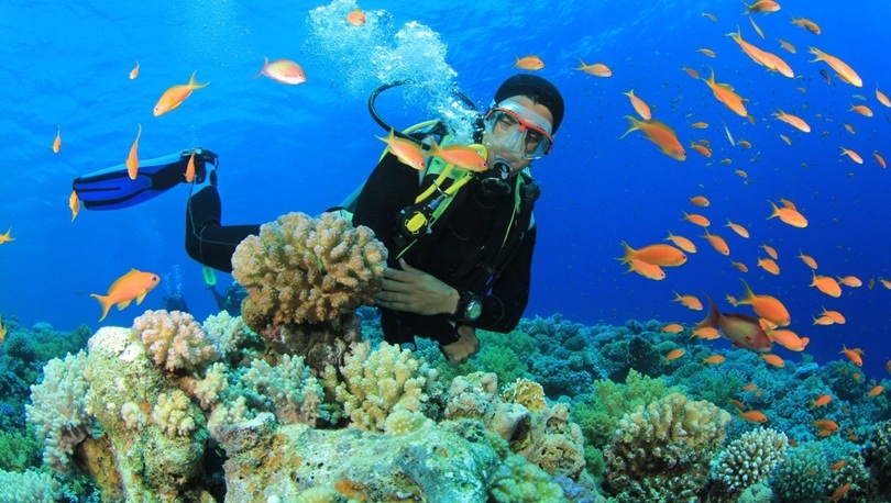 Giftun Island Snorkeling