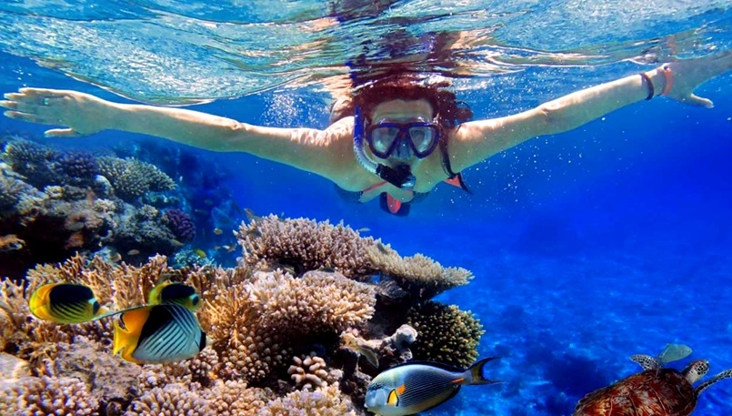 Ras Mohammed Snorkeling