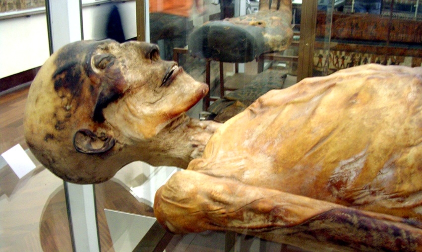 Mummy Room