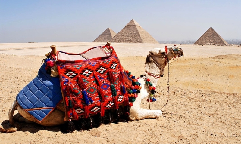 The best things to see in Cairo The best things to see in Cairo