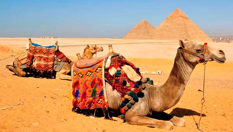 Giza Pyramids from Alexandria Port 