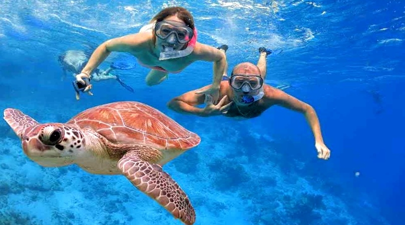 Snorkeling Tours to Giftun Island