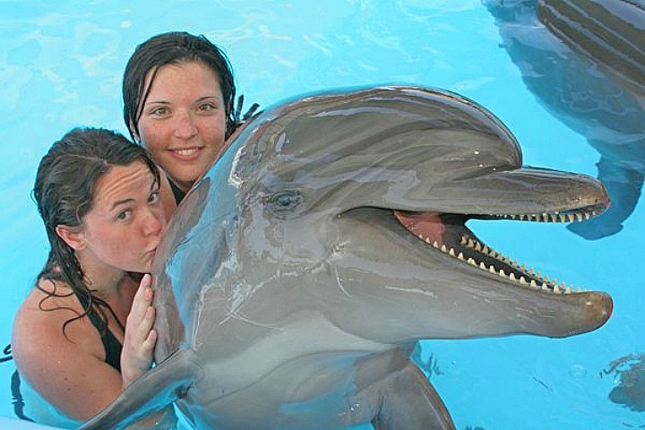 Red Sea activities in Sharm El Sheikh and Cairo