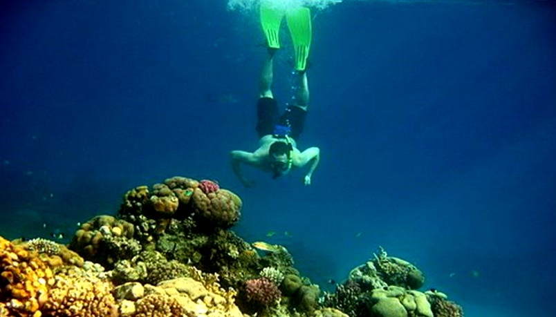 Hurghada Snorkeling