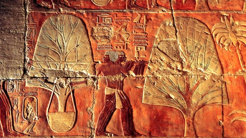 Hatshepsut Temple