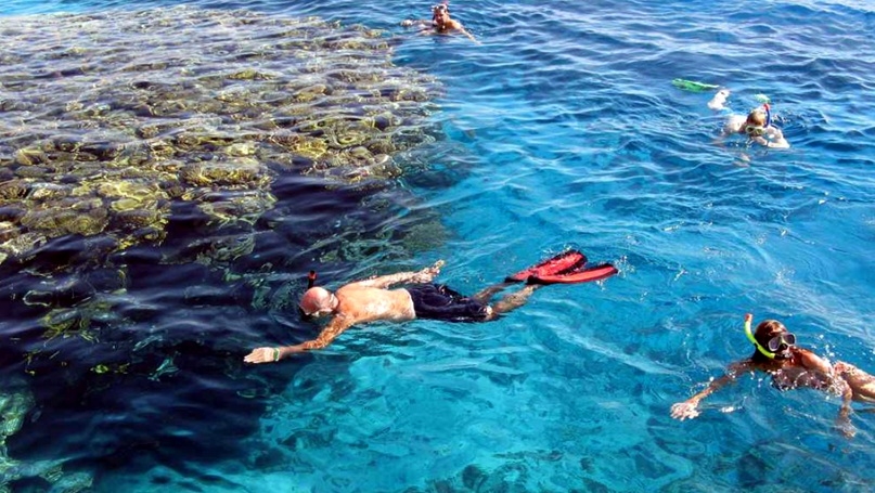 Snorkeling Port Ghalib