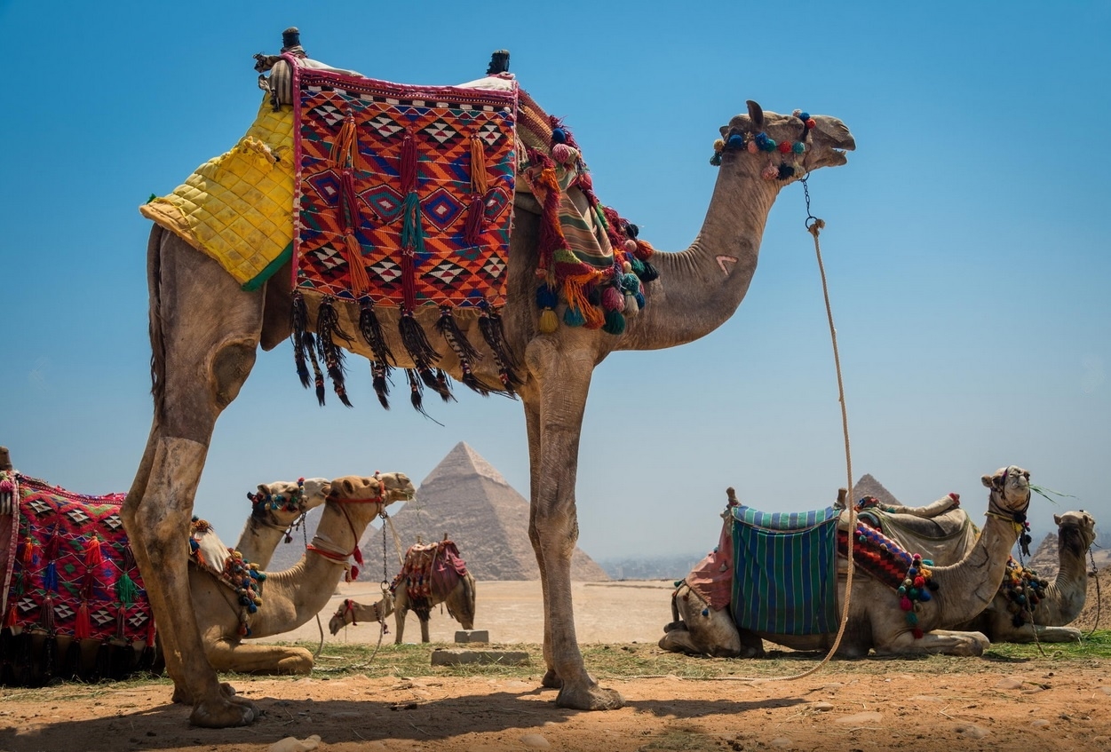 Giza Pyramids