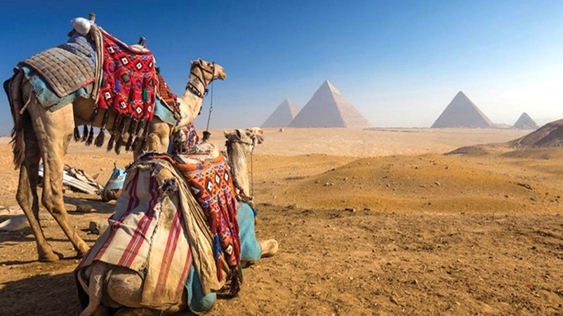 Pyramids of Giza and Lunch Cruise from Sokhna Port