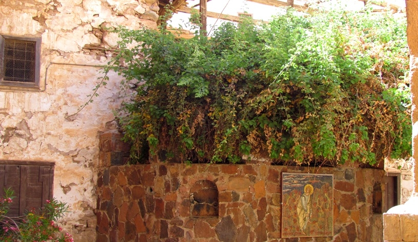 Burning Bush