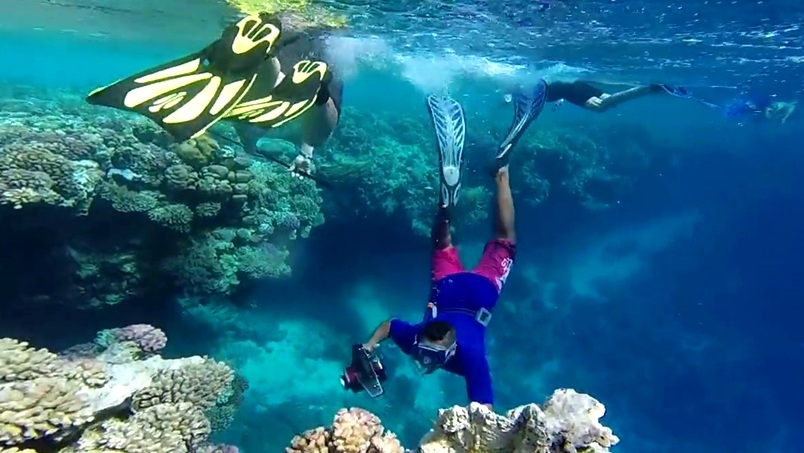 Hamata Island, Snorkeling