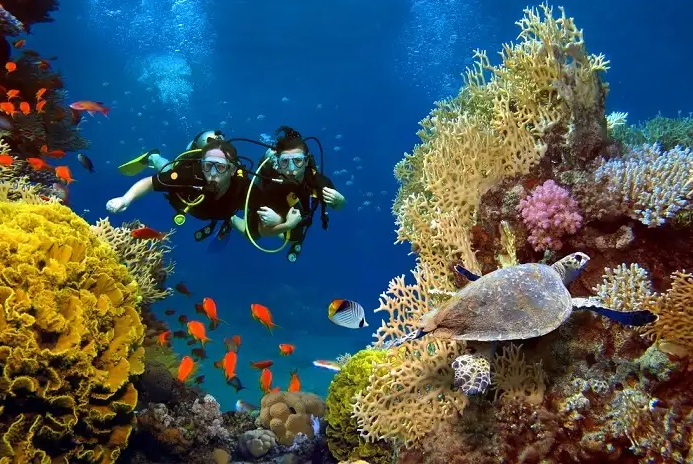 red sea red sea