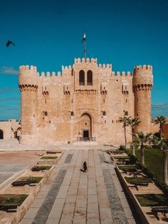 Cairo Alexandria Budget Tours 