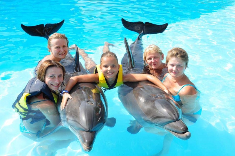 Red Sea Travel Packages