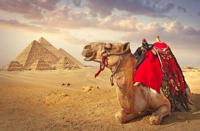 Where should I go for New Years in Egypt?