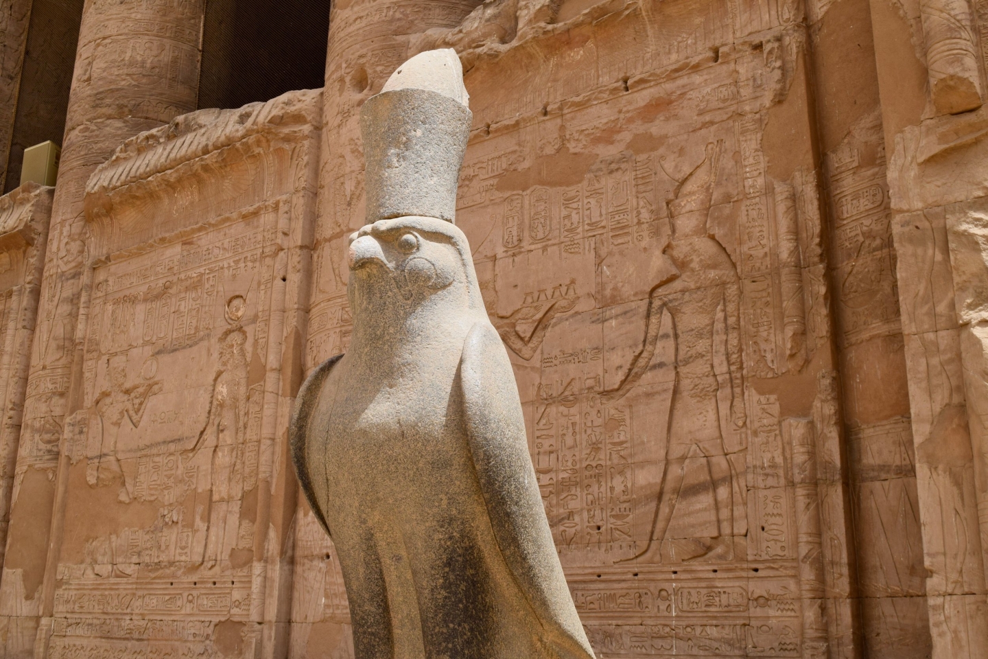 Edfu trip