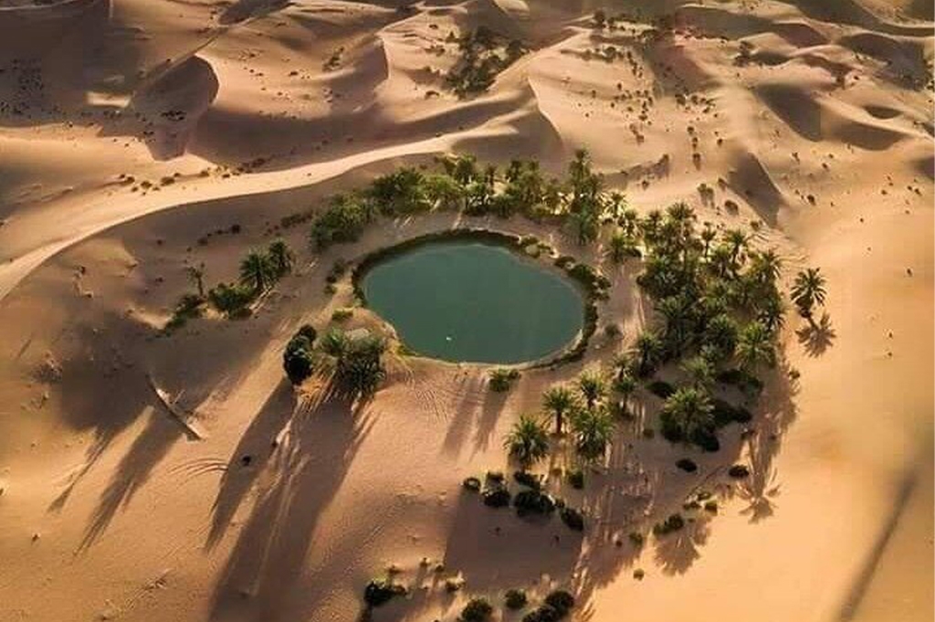 Safari Tour to Cairo, Bahariya and White Desert