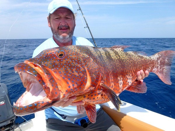 Sharm Tours Sharm Tours