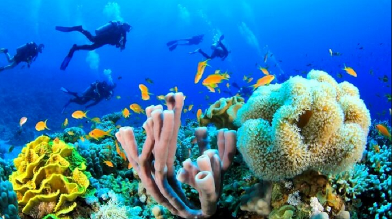 sharm el sheikh sharm el sheikh