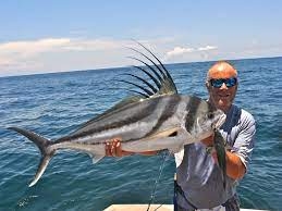 Hurghada Trips Hurghada Trips