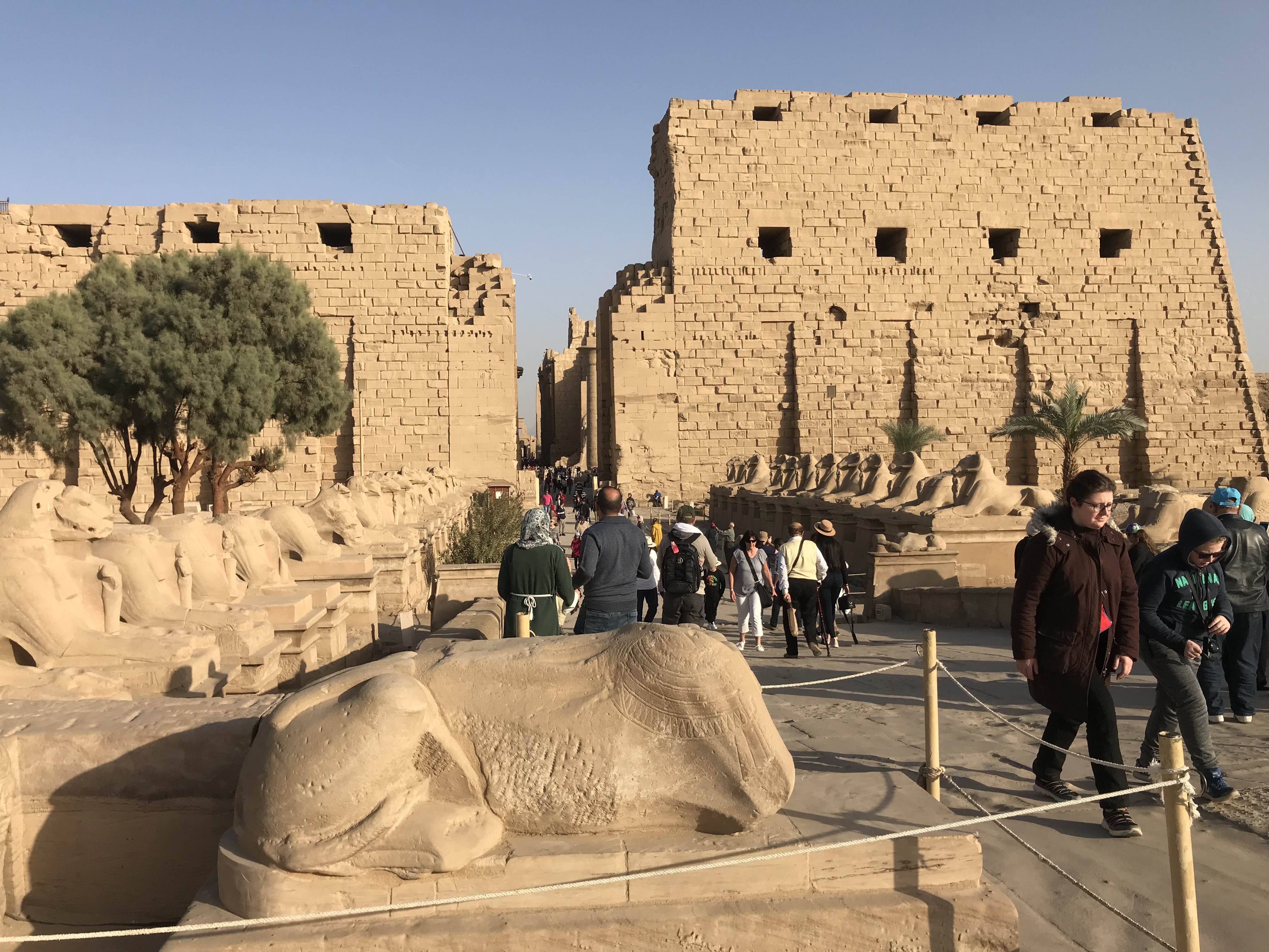 Egypt Classic Tours